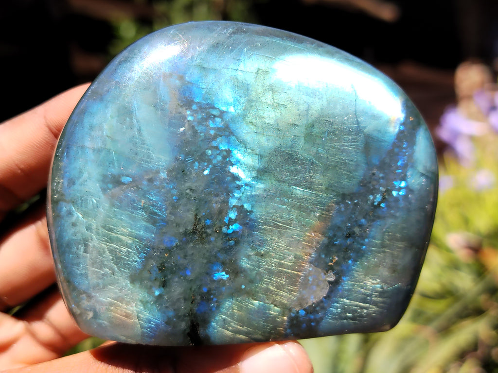 Polished Labradorite Standing Free Forms x 6 From Tulear, Madagascar - Toprock Gemstones and Minerals 