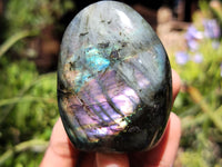 Polished Labradorite Standing Free Forms x 6 From Tulear, Madagascar - Toprock Gemstones and Minerals 