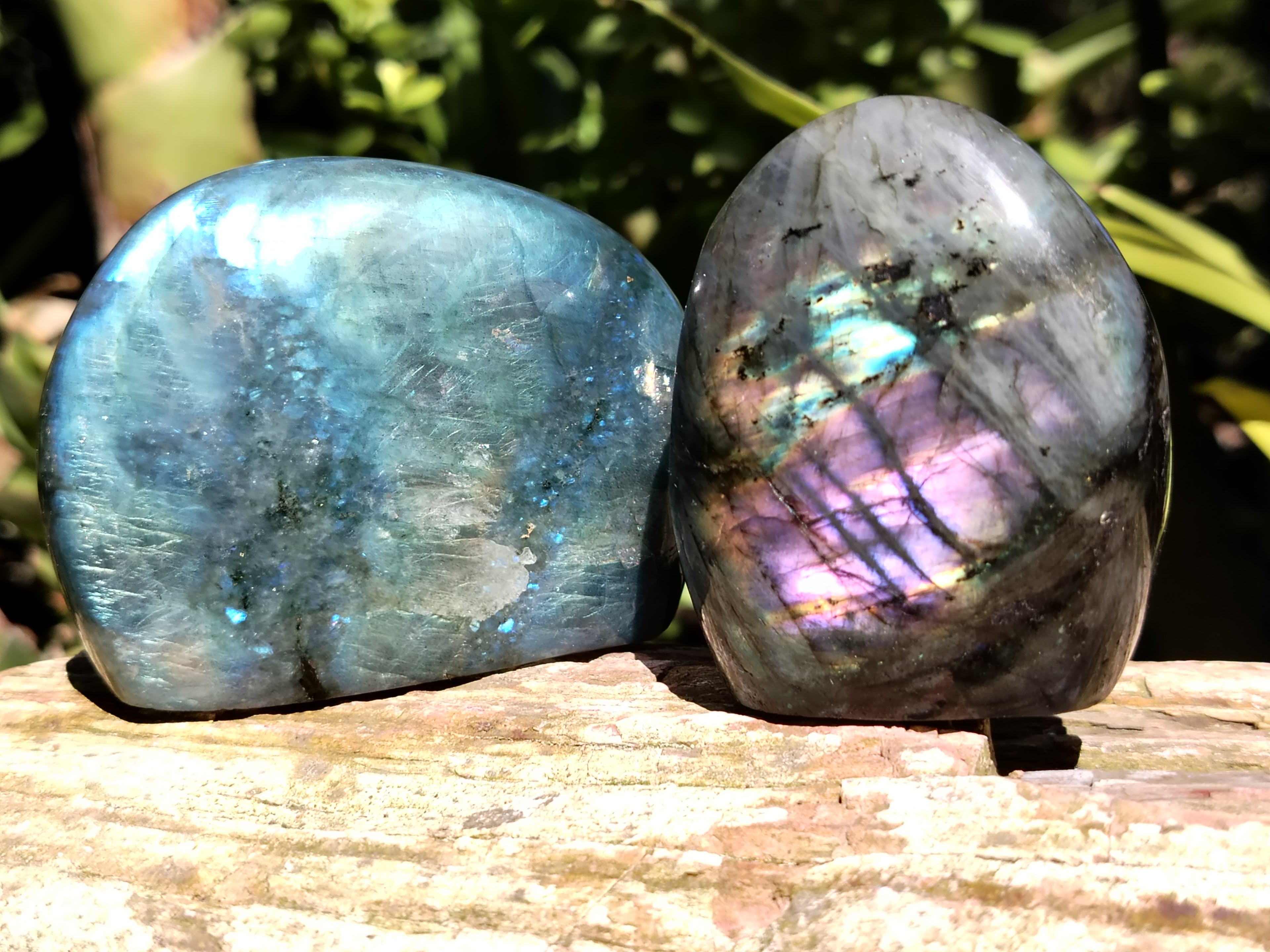 Polished Labradorite Standing Free Forms x 6 From Tulear, Madagascar - Toprock Gemstones and Minerals 