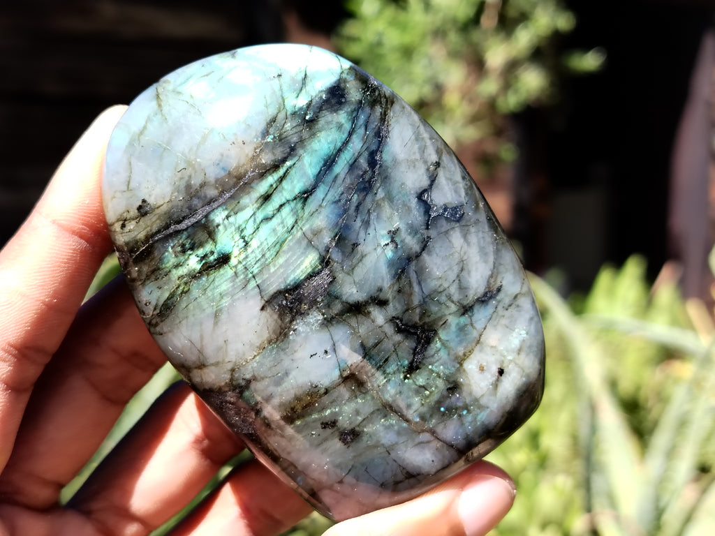 Polished Labradorite Standing Free Forms x 6 From Tulear, Madagascar - Toprock Gemstones and Minerals 