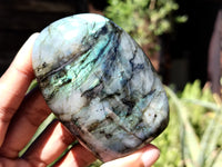 Polished Labradorite Standing Free Forms x 6 From Tulear, Madagascar - Toprock Gemstones and Minerals 