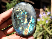 Polished Labradorite Standing Free Forms x 6 From Tulear, Madagascar - Toprock Gemstones and Minerals 