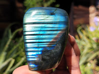 Polished Labradorite Standing Free Forms x 6 From Tulear, Madagascar - Toprock Gemstones and Minerals 