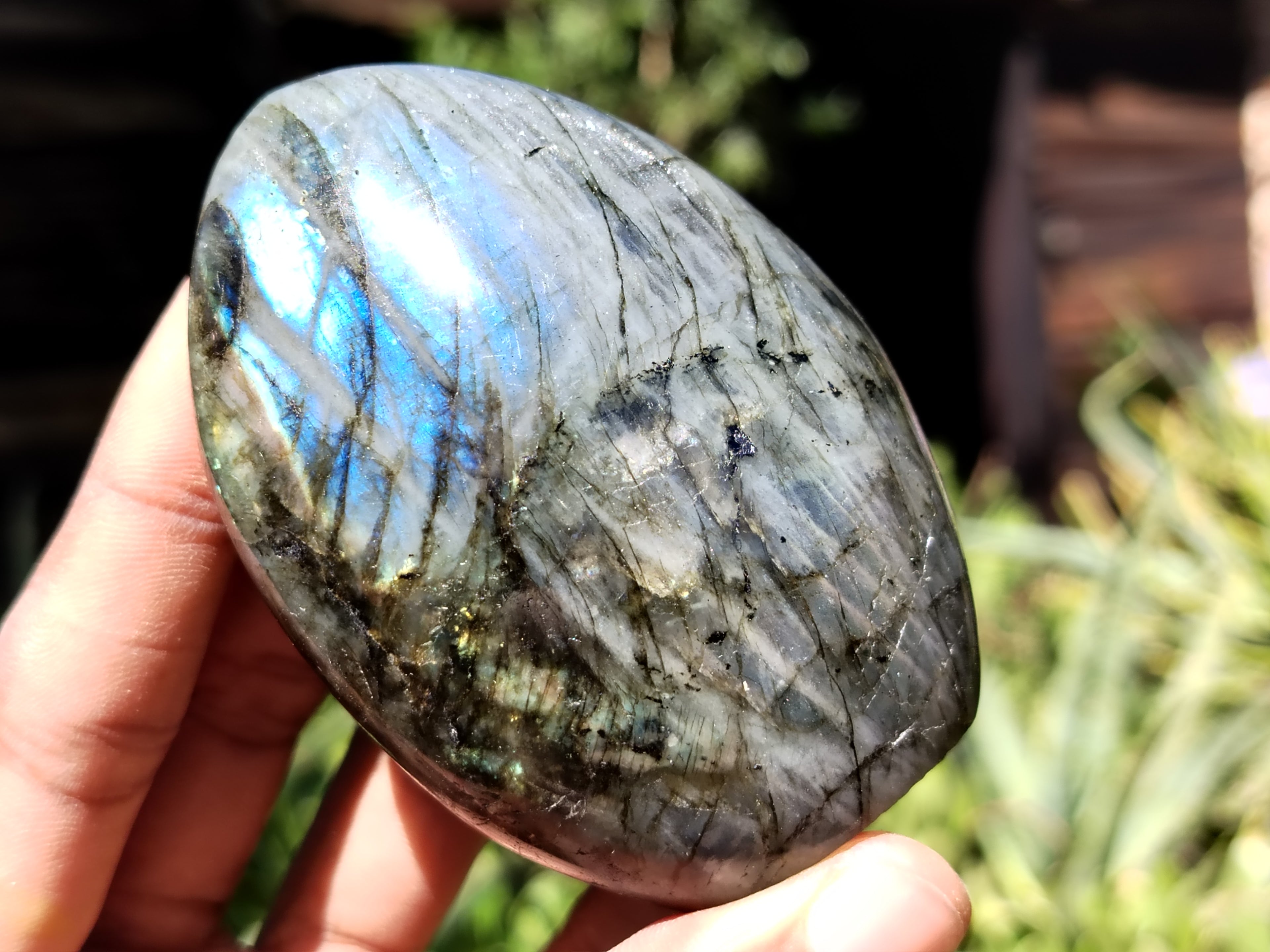 Polished Labradorite Standing Free Forms x 6 From Tulear, Madagascar - Toprock Gemstones and Minerals 