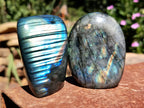 Polished Labradorite Standing Free Forms x 6 From Tulear, Madagascar - Toprock Gemstones and Minerals 