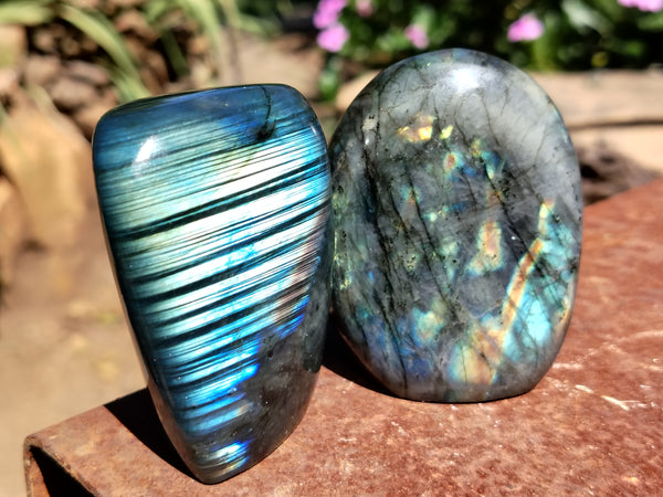 Polished Labradorite Standing Free Forms x 6 From Tulear, Madagascar - Toprock Gemstones and Minerals 