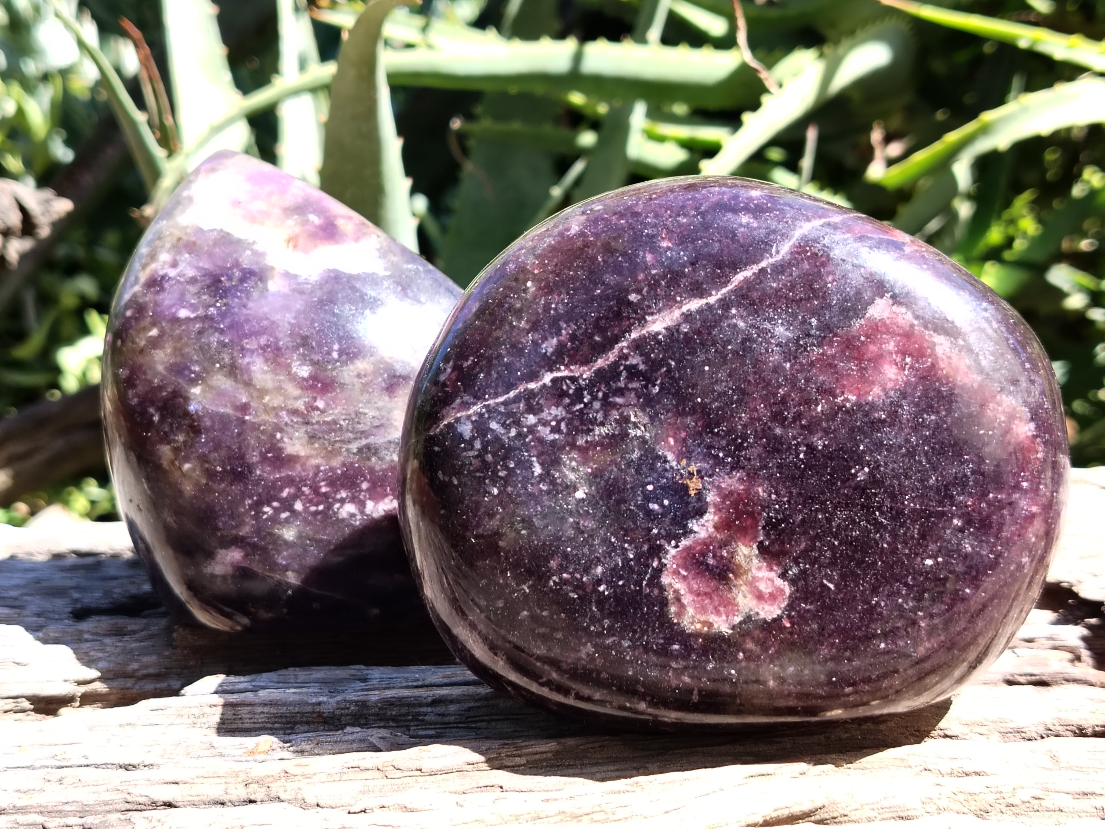 Polished Lepidolite Standing Free Forms x 2 From Zimbabwe - Toprock Gemstones and Minerals 