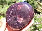 Polished Lepidolite Standing Free Forms x 2 From Zimbabwe - Toprock Gemstones and Minerals 