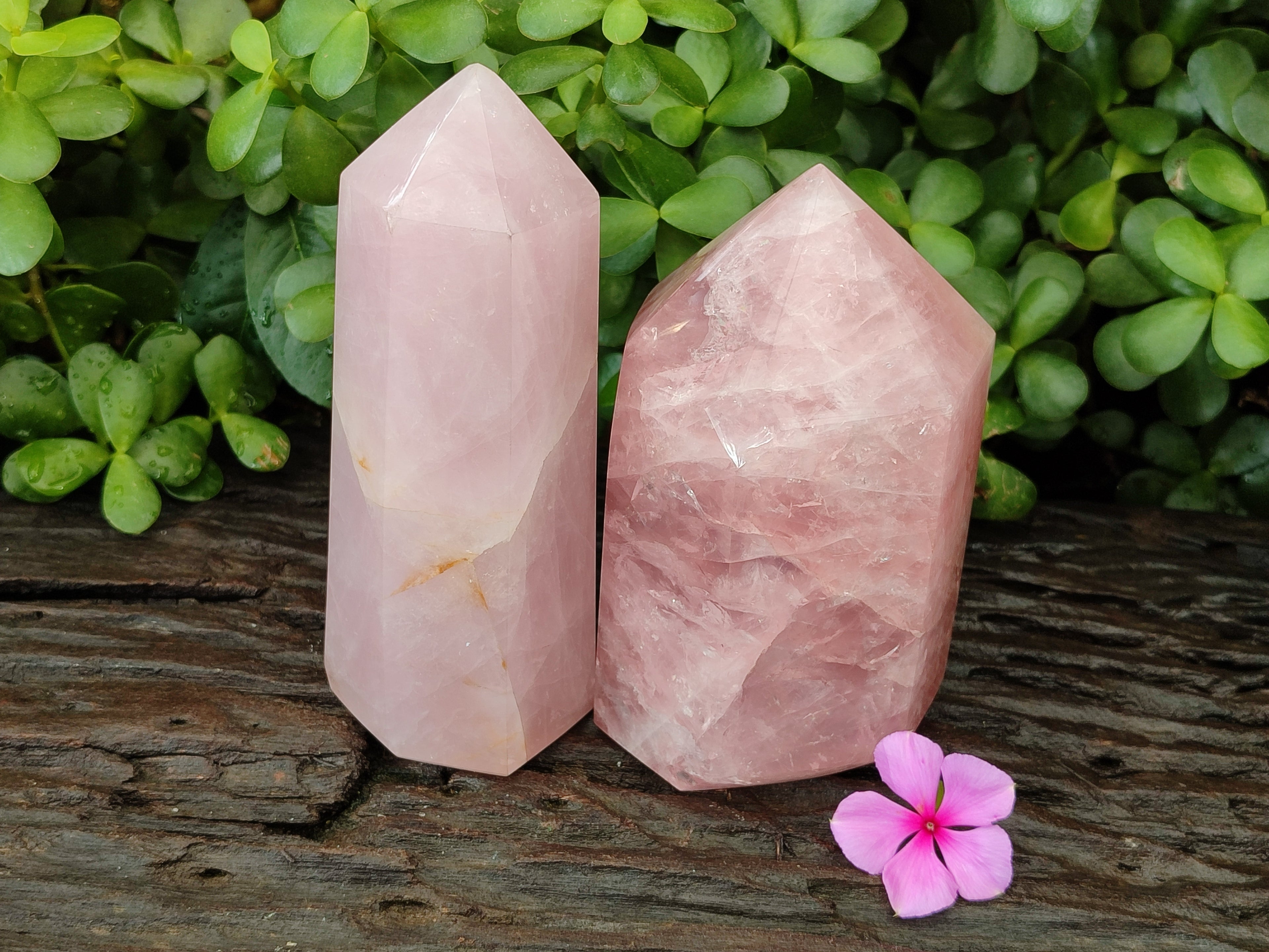 Polished Rose Quartz Points x 2 From Ambatondrazaka, Madagascar - Toprock Gemstones and Minerals 