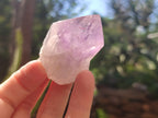 Natural Jacaranda Amethyst Quartz Crystals x 12 from Mumbwa, Zambia - Toprock Gemstones and Minerals 