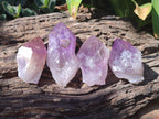 Natural Jacaranda Amethyst Quartz Crystals x 12 from Mumbwa, Zambia - Toprock Gemstones and Minerals 