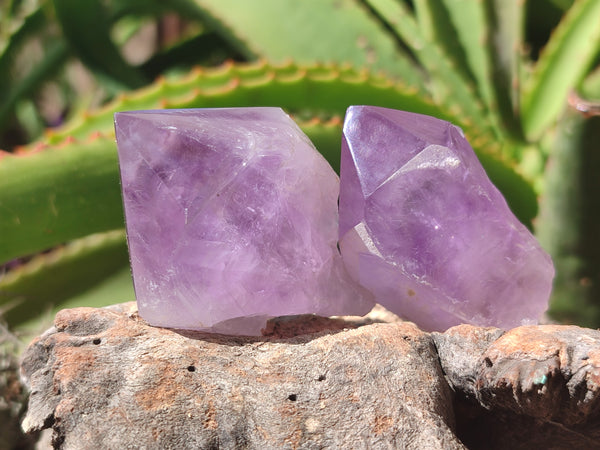 Natural Jacaranda Amethyst Quartz Crystals x 12 from Mumbwa, Zambia - Toprock Gemstones and Minerals 