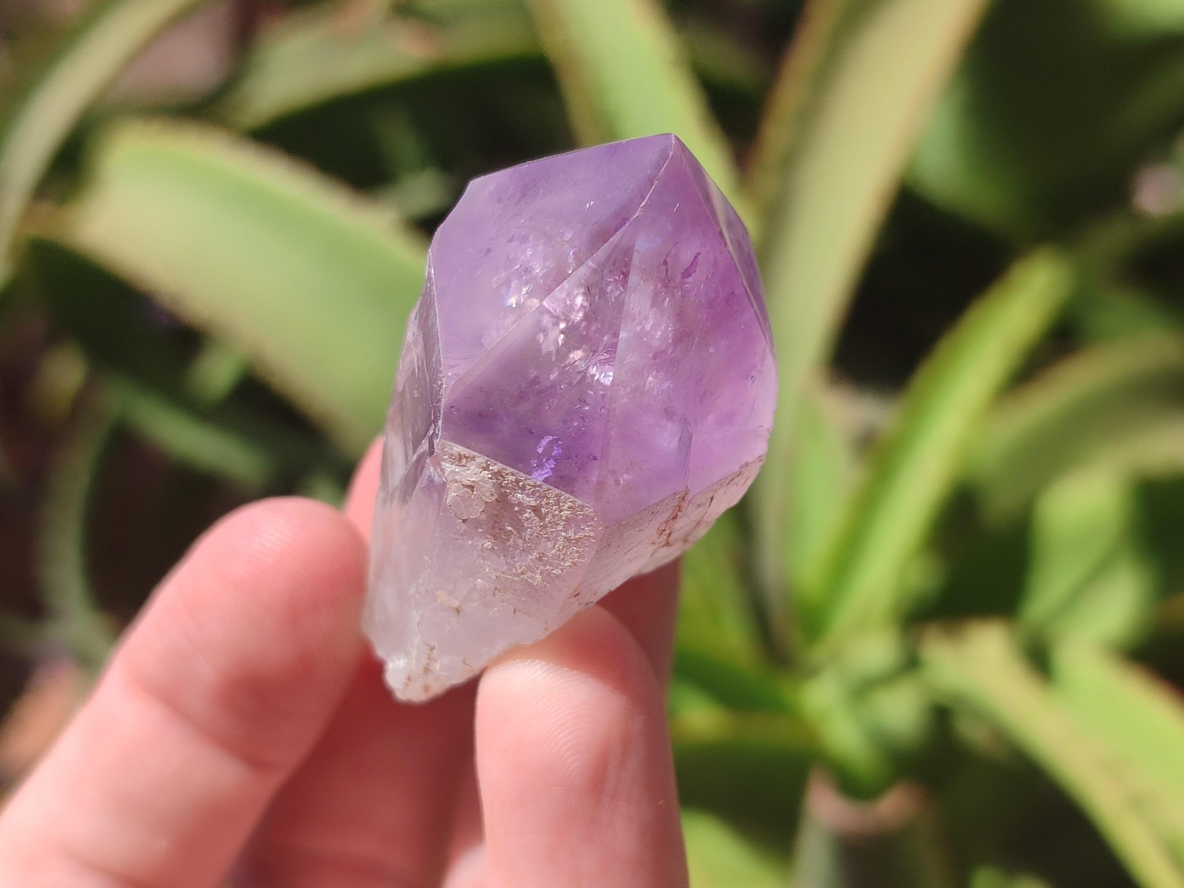 Natural Jacaranda Amethyst Quartz Crystals x 12 from Mumbwa, Zambia - Toprock Gemstones and Minerals 