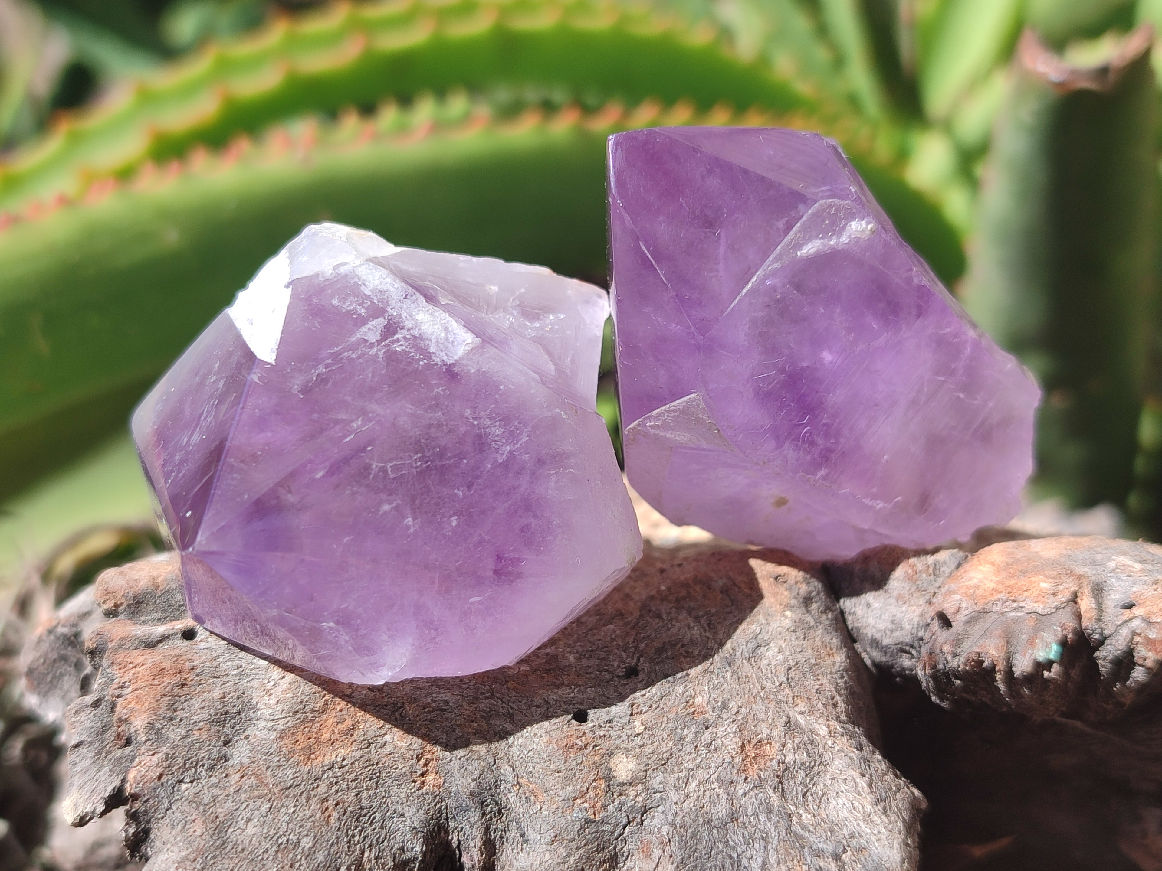 Natural Jacaranda Amethyst Quartz Crystals x 12 from Mumbwa, Zambia - Toprock Gemstones and Minerals 
