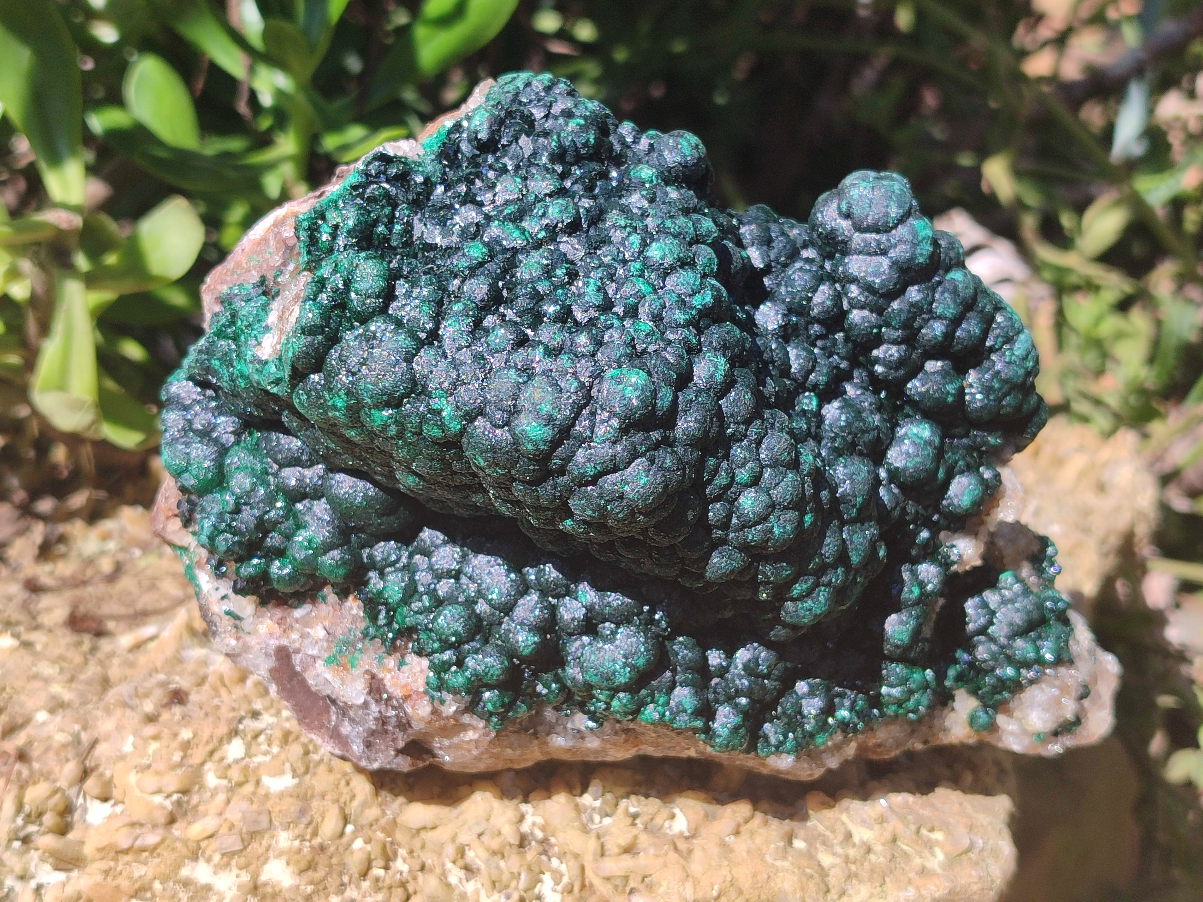 Natural Ball Malachite On Dolomite Matrix Specimen x 1 From Kambove, Congo - Toprock Gemstones and Minerals 