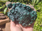 Natural Ball Malachite On Dolomite Matrix Specimen x 1 From Kambove, Congo - Toprock Gemstones and Minerals 