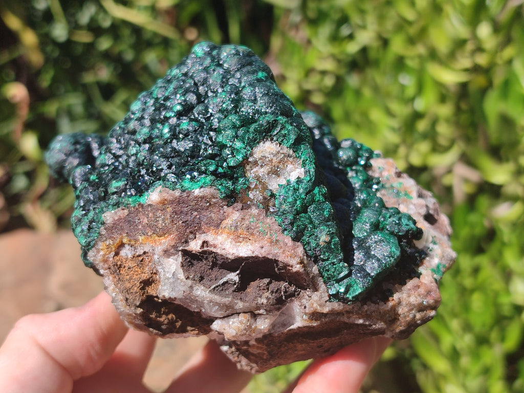 Natural Ball Malachite On Dolomite Matrix Specimen x 1 From Kambove, Congo - Toprock Gemstones and Minerals 