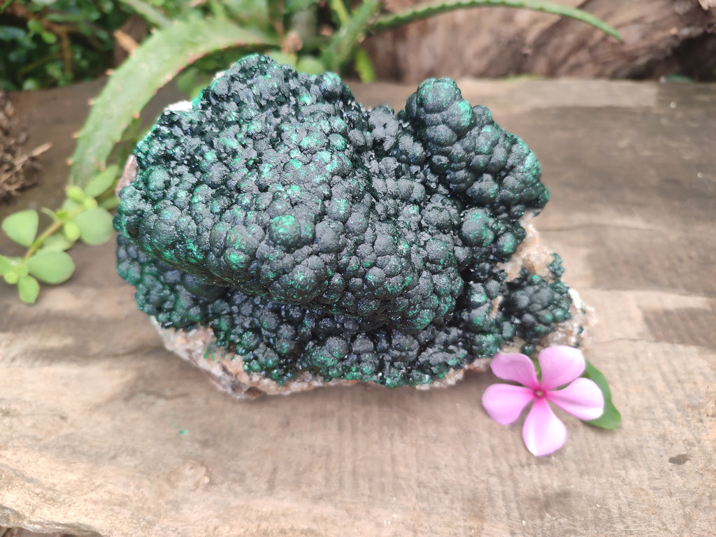 Natural Ball Malachite On Dolomite Matrix Specimen x 1 From Kambove, Congo - Toprock Gemstones and Minerals 