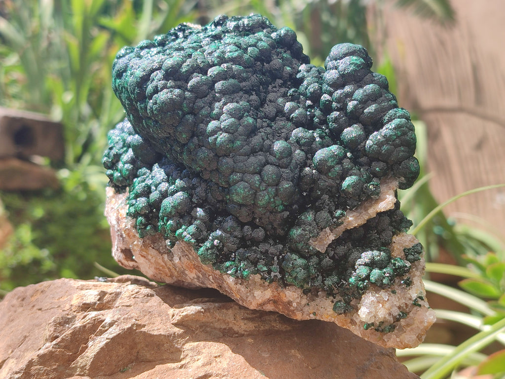 Natural Ball Malachite On Dolomite Matrix Specimen x 1 From Kambove, Congo - Toprock Gemstones and Minerals 