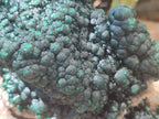 Natural Ball Malachite On Dolomite Matrix Specimen x 1 From Kambove, Congo - Toprock Gemstones and Minerals 