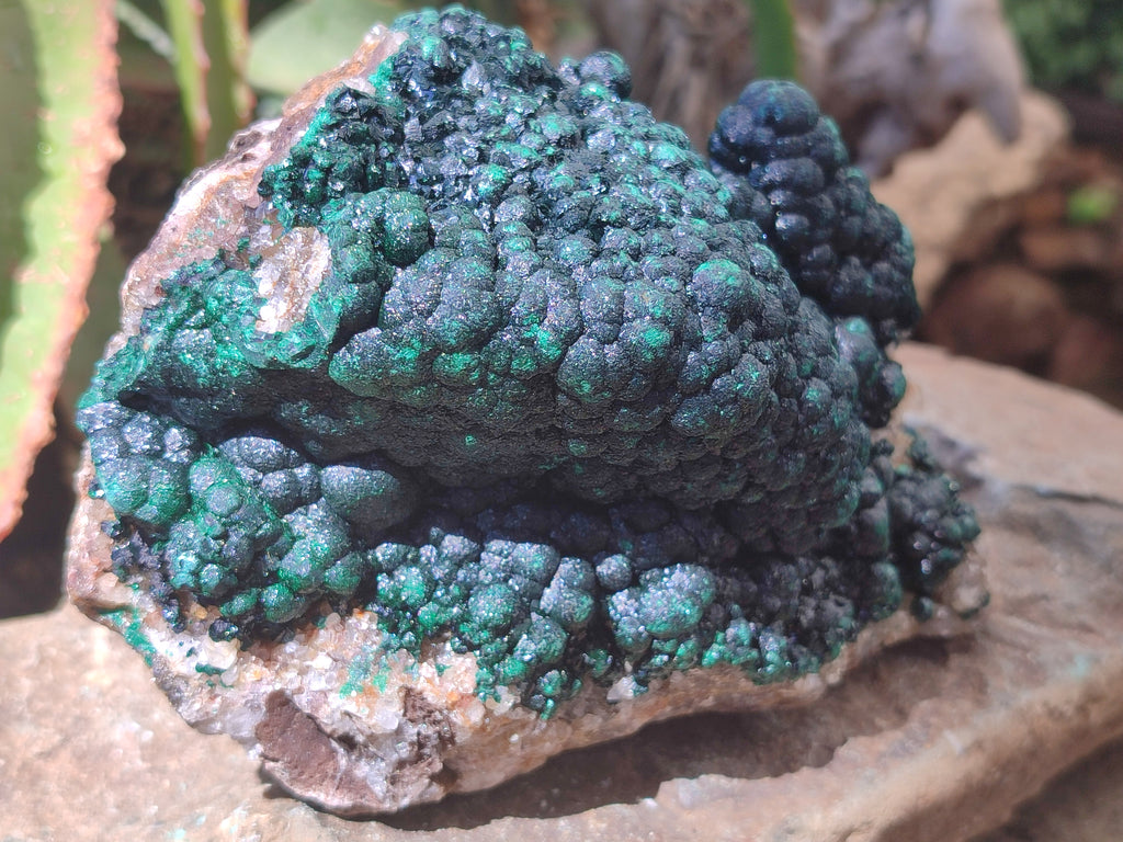 Natural Ball Malachite On Dolomite Matrix Specimen x 1 From Kambove, Congo - Toprock Gemstones and Minerals 