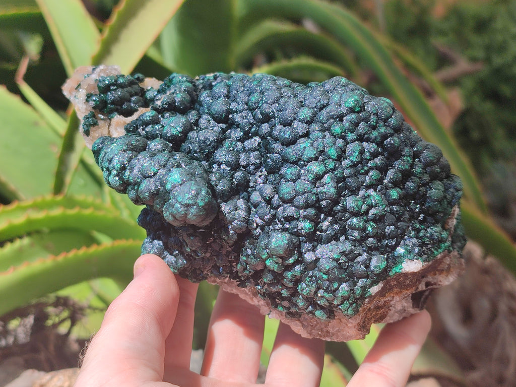 Natural Ball Malachite On Dolomite Matrix Specimen x 1 From Kambove, Congo - Toprock Gemstones and Minerals 