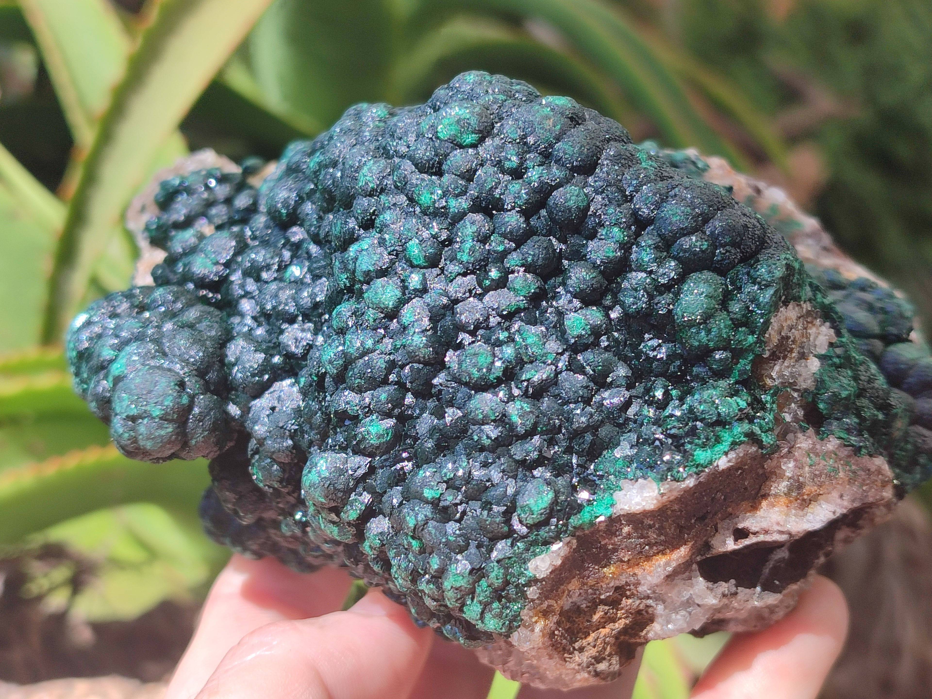 Natural Ball Malachite On Dolomite Matrix Specimen x 1 From Kambove, Congo - Toprock Gemstones and Minerals 