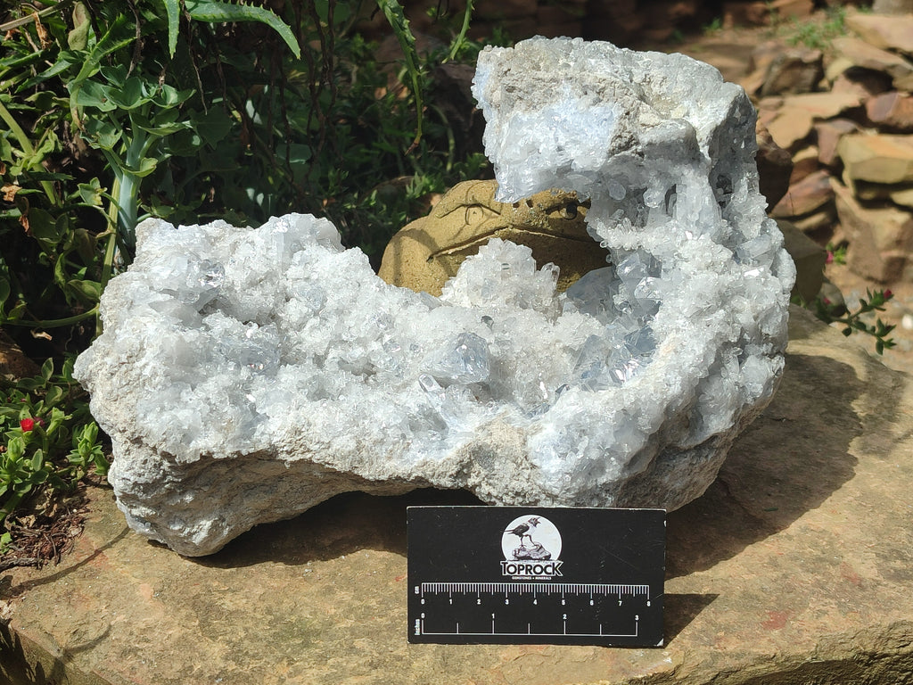 Natural Celestite Geode Specimen x 1 From Sakoany, Madagascar - Toprock Gemstones and Minerals 