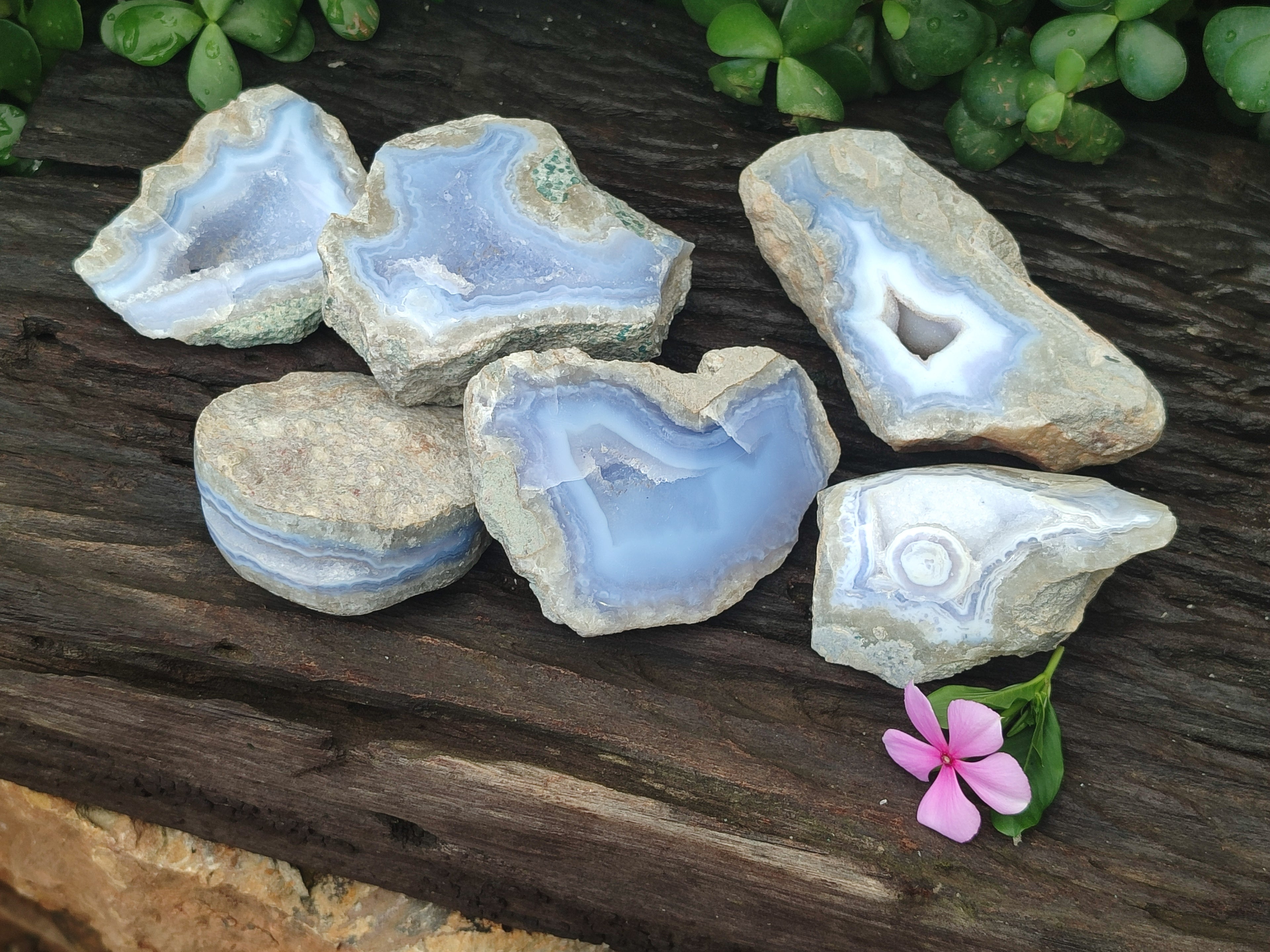 Polished On One Side Blue Lace Agate x 6 From Malawi - Toprock Gemstones and Minerals 