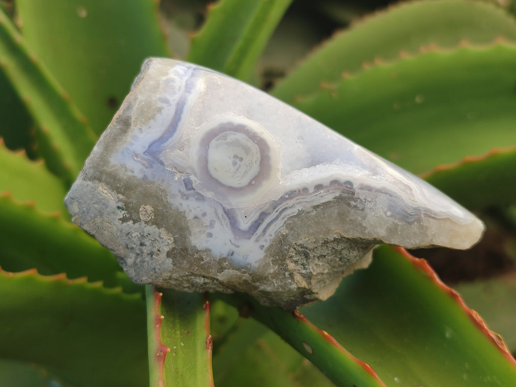 Polished On One Side Blue Lace Agate x 6 From Malawi - Toprock Gemstones and Minerals 