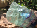 Polished On One Side Watermelon Fluorite x 6 From Uis, Namibia - Toprock Gemstones and Minerals 