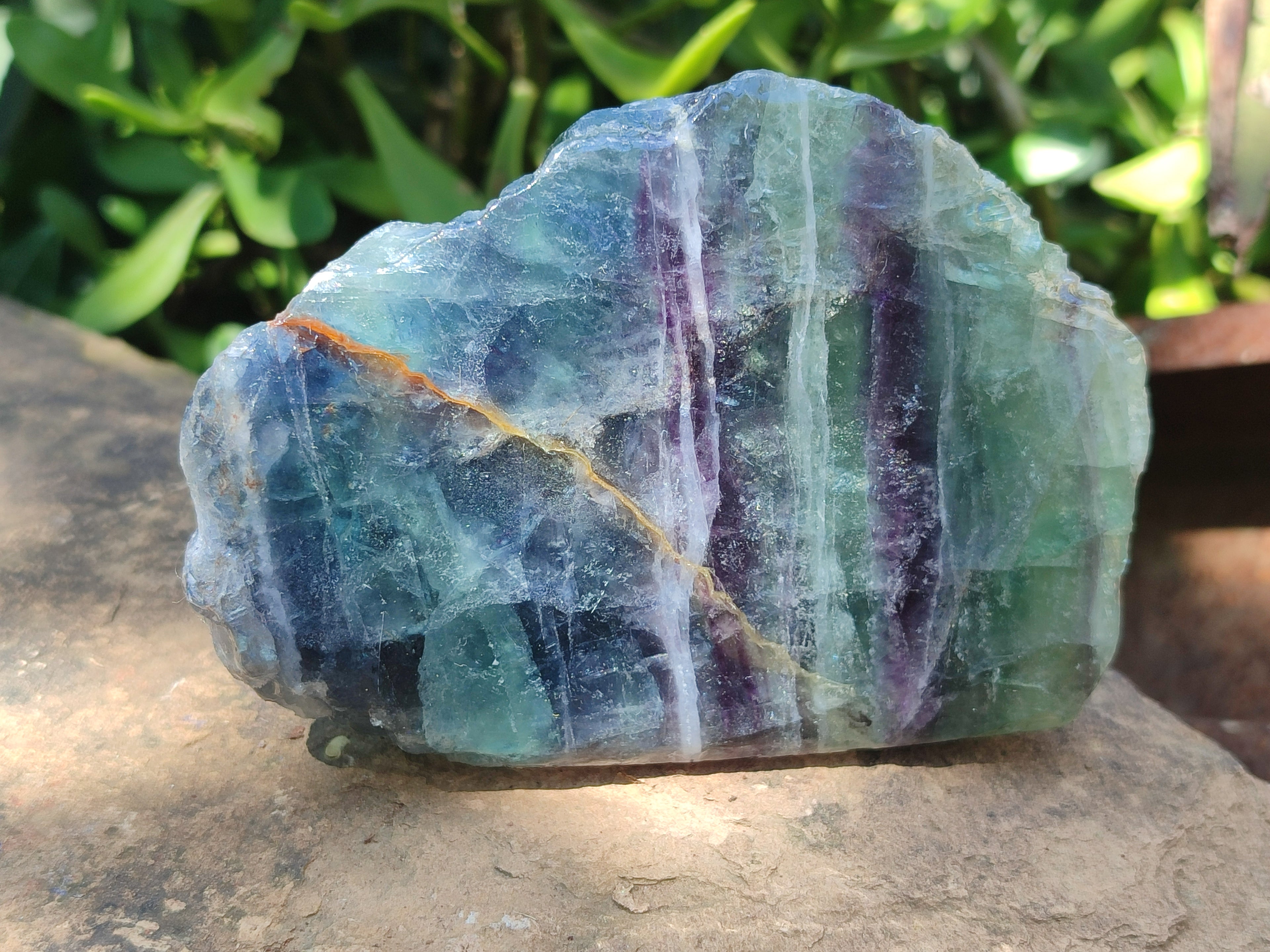 Polished On One Side Watermelon Fluorite x 6 From Uis, Namibia - Toprock Gemstones and Minerals 