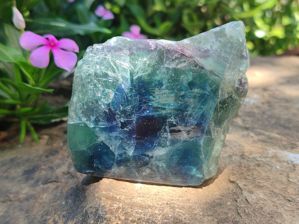 Polished On One Side Watermelon Fluorite x 6 From Uis, Namibia - Toprock Gemstones and Minerals 