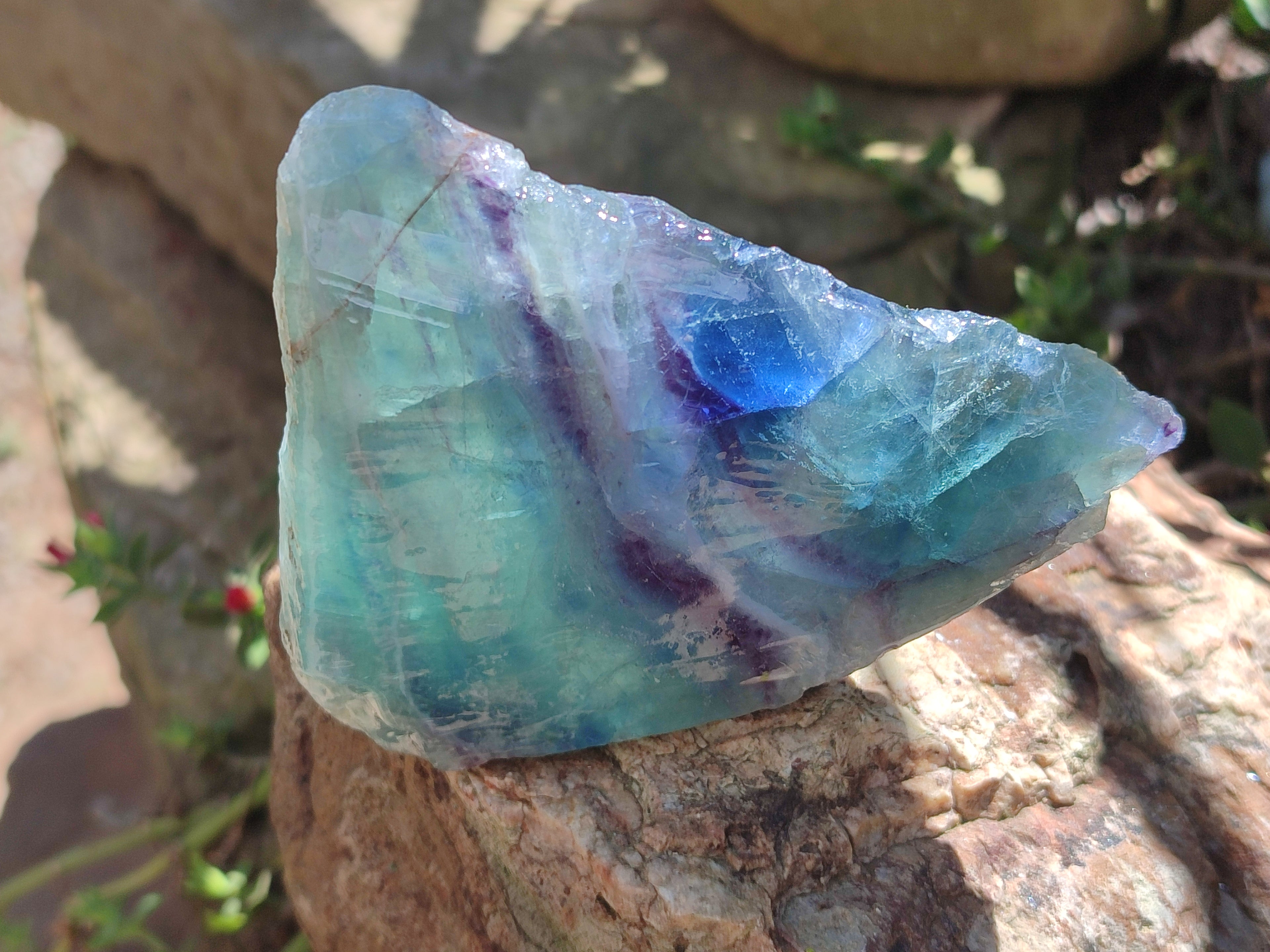 Polished On One Side Watermelon Fluorite x 6 From Uis, Namibia - Toprock Gemstones and Minerals 
