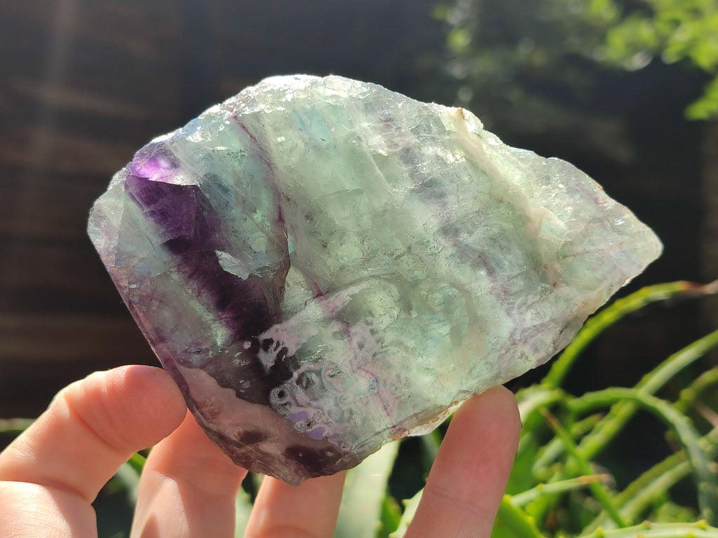 Polished On One Side Watermelon Fluorite x 6 From Uis, Namibia - Toprock Gemstones and Minerals 