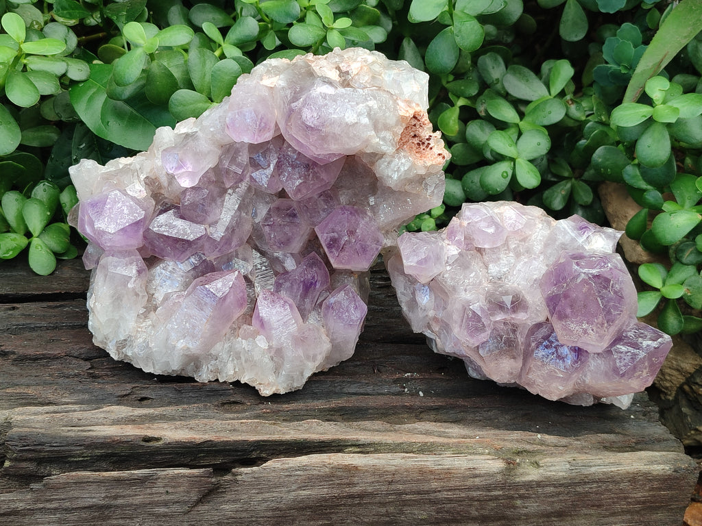 Natural Jacaranda Amethyst Quartz Clusters x 2 from Mumbwa, Zambia - Toprock Gemstones and Minerals 