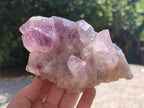 Natural Jacaranda Amethyst Quartz Clusters x 2 from Mumbwa, Zambia - Toprock Gemstones and Minerals 