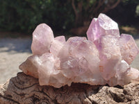 Natural Jacaranda Amethyst Quartz Clusters x 2 from Mumbwa, Zambia - Toprock Gemstones and Minerals 