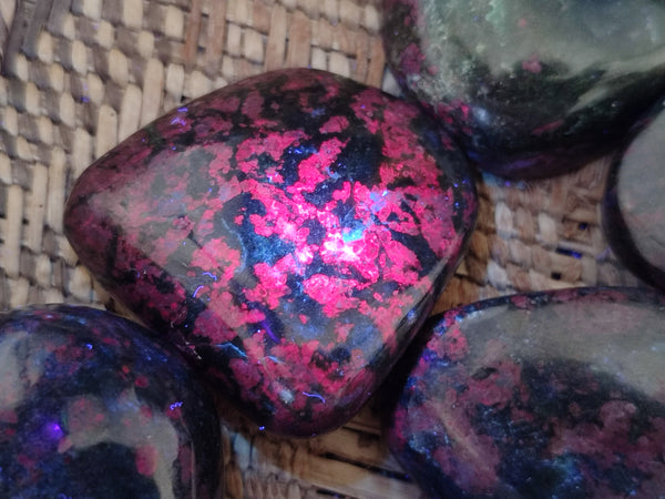 Polished Ruby Corundum In Chrome Verdite Free Forms x 12 From Zimbabwe - Toprock Gemstones and Minerals 
