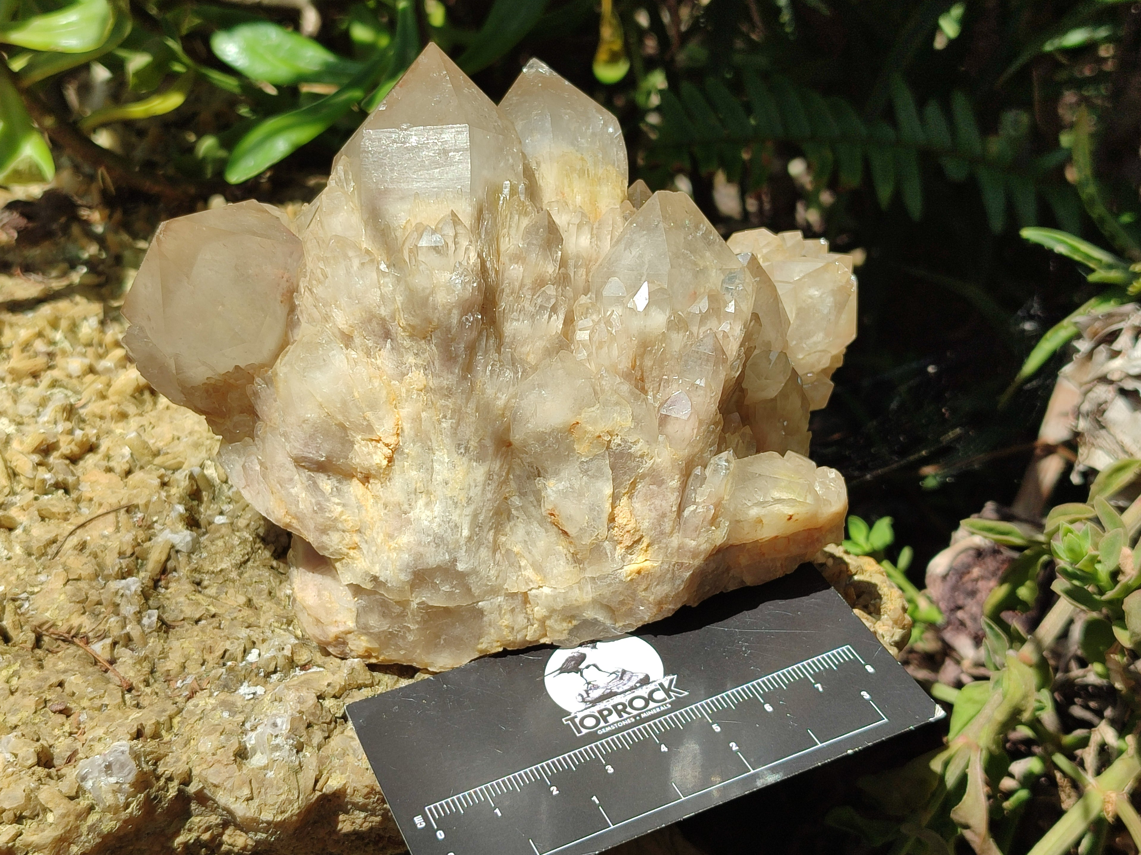 Natural Smokey Phantom Quartz Clusters x 2 From Luena, Congo - Toprock Gemstones and Minerals 