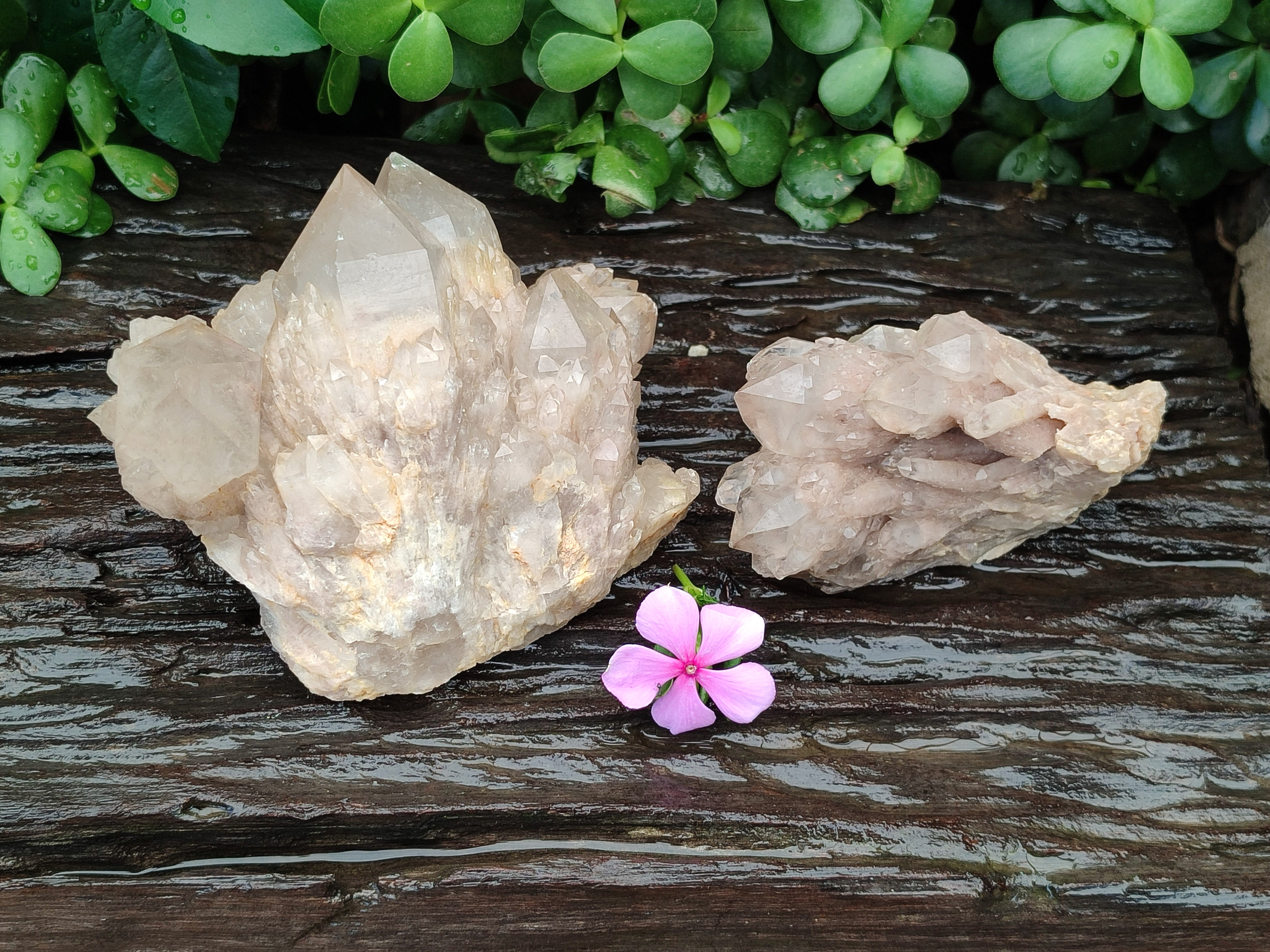 Natural Smokey Phantom Quartz Clusters x 2 From Luena, Congo - Toprock Gemstones and Minerals 