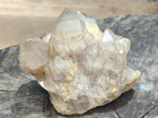 Natural Smokey Phantom Quartz Clusters x 2 From Luena, Congo - Toprock Gemstones and Minerals 