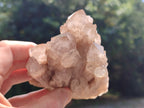 Natural Smokey Phantom Quartz Clusters x 2 From Luena, Congo - Toprock Gemstones and Minerals 