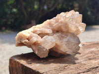 Natural Smokey Phantom Quartz Clusters x 2 From Luena, Congo - Toprock Gemstones and Minerals 