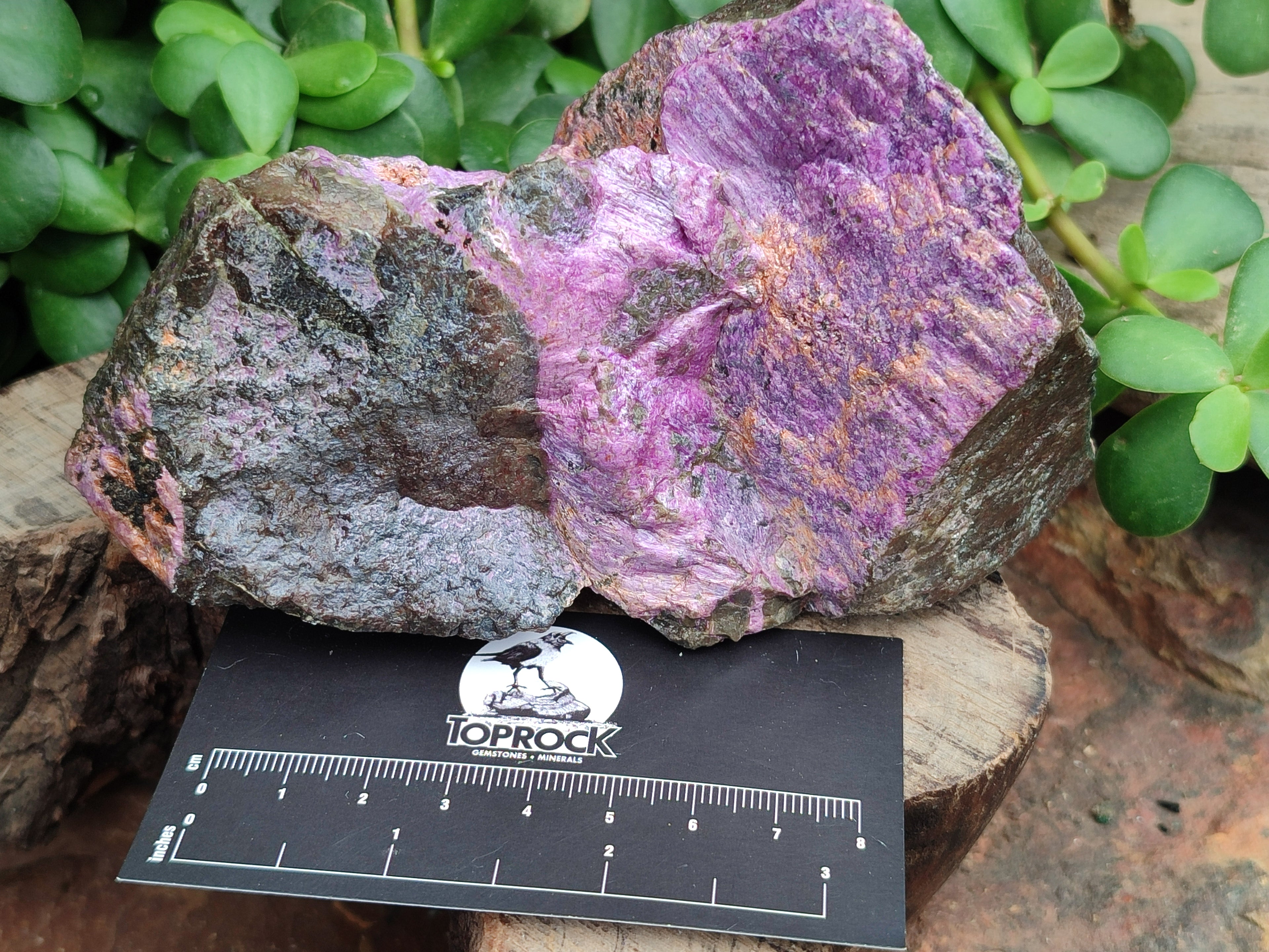 Natural Stichtite Cobbed Specimens x 4 From Barberton, South Africa - Toprock Gemstones and Minerals 