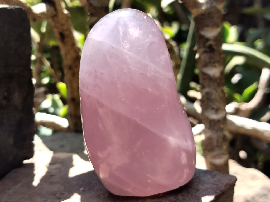 Polished Rose Quartz Standing Free Forms x 4 From Madagascar - Toprock Gemstones and Minerals 