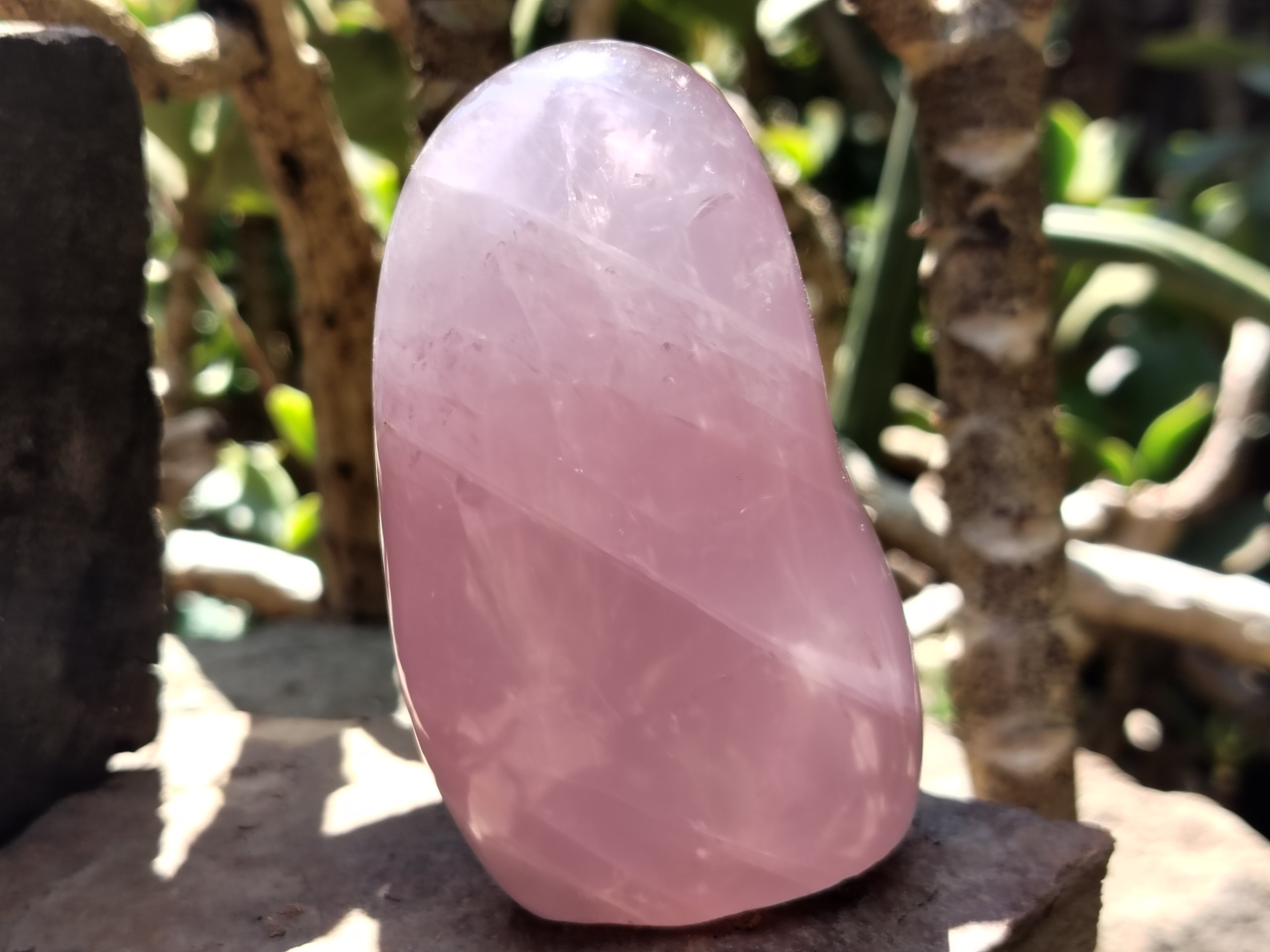 Polished Rose Quartz Standing Free Forms x 4 From Madagascar - Toprock Gemstones and Minerals 