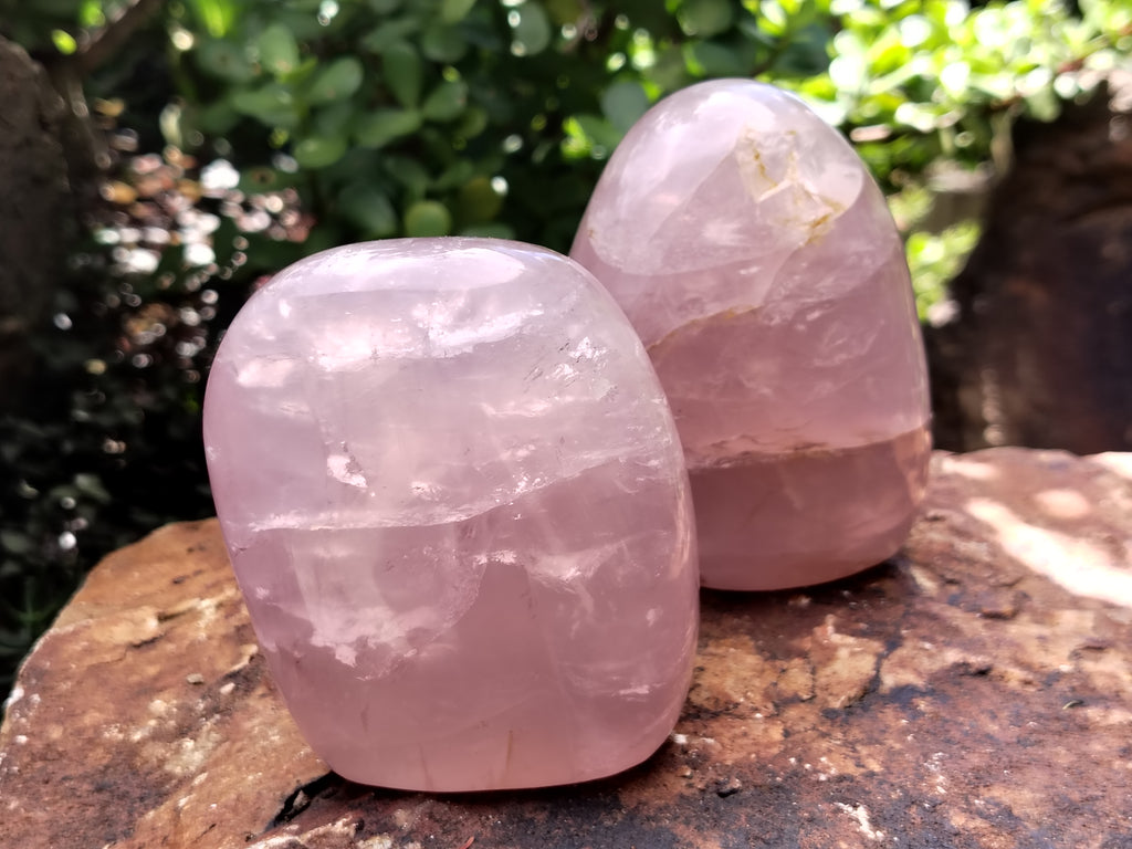 Polished Rose Quartz Standing Free Forms x 4 From Madagascar - Toprock Gemstones and Minerals 