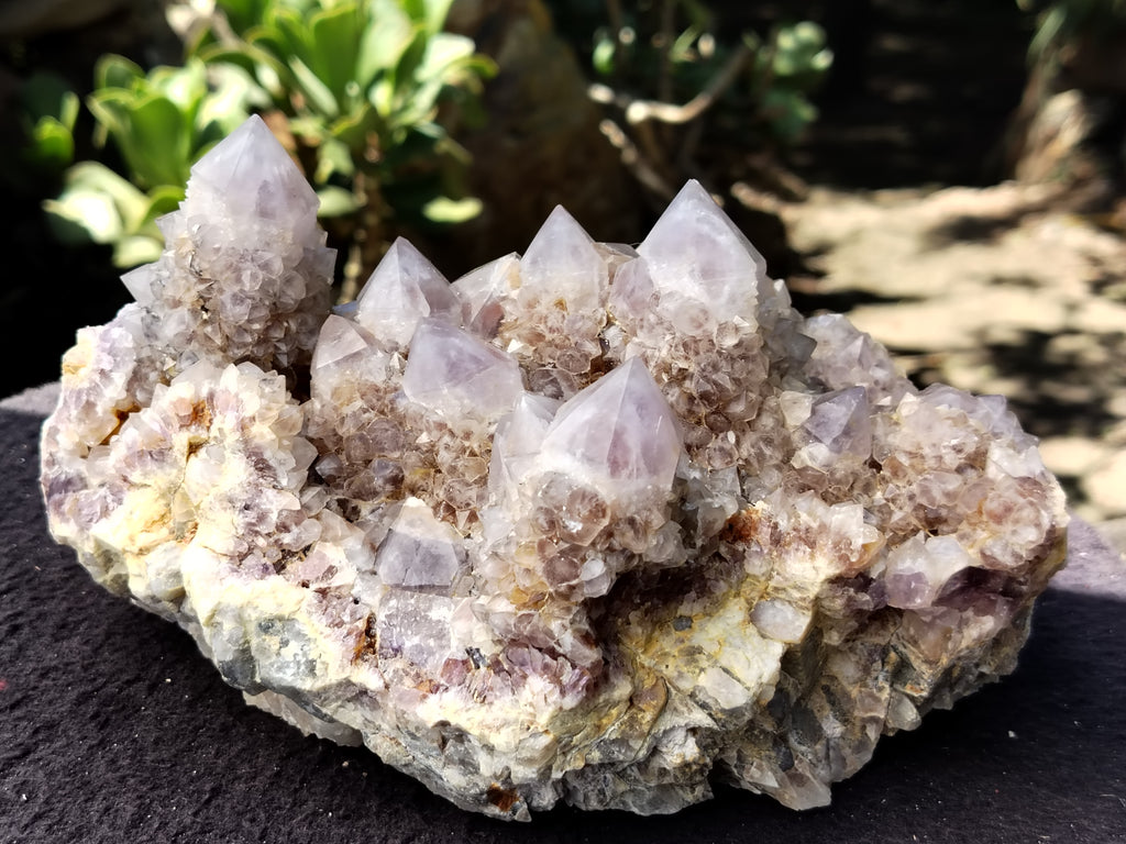 Natural Amethyst Spirit Quartz Cluster x 1 From Boekenhouthoek, South Africa - Toprock Gemstones and Minerals 