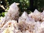 Natural Amethyst Spirit Quartz Cluster x 1 From Boekenhouthoek, South Africa - Toprock Gemstones and Minerals 